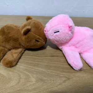 CAPIBARA BRAZALETE