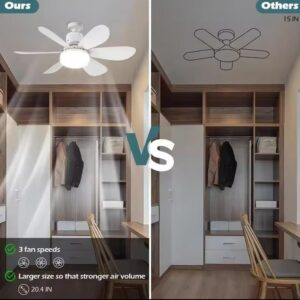 Luz de ventilador de techo