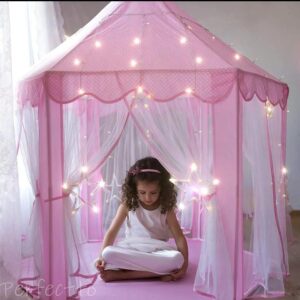 CASTILLO INFANTIL 2024